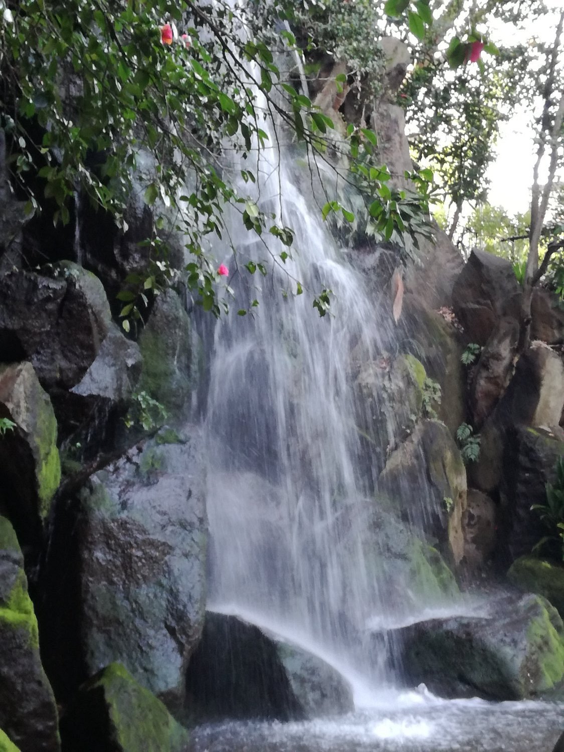 🏞️ 촌장의 폭포 공원 (나누시노타키 코엔) 이미지 3